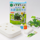 節約にも食育にも! ママたちにブームの栽培キットとは!?