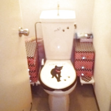 クロネコのトイレです
