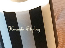 クリアファイルで作る 簡単☆トイレットペーパーフォルダー!!