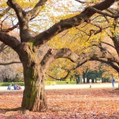 スポーツの秋!秋にオススメの効率よく代謝を上げるスポーツ