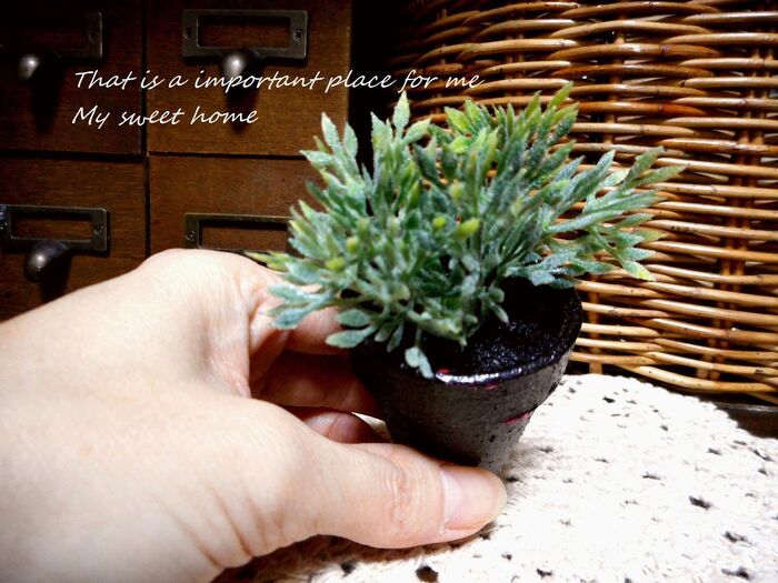 セリアのフェイクグリーンを