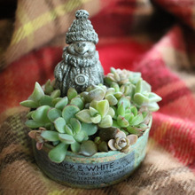 空き缶と100均で!多肉植物のクリスマス雑貨
