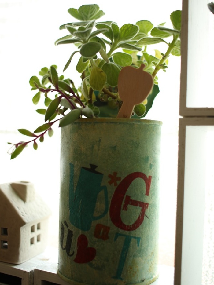 使えるハーブ多肉