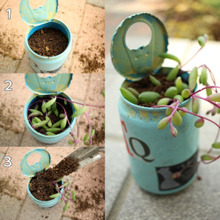 3ステップで簡単!!多肉植物の増やし方!