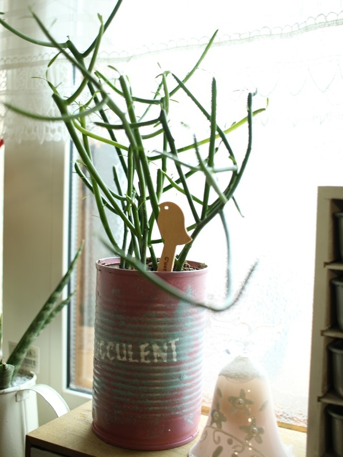 割れないリメ缶を使用