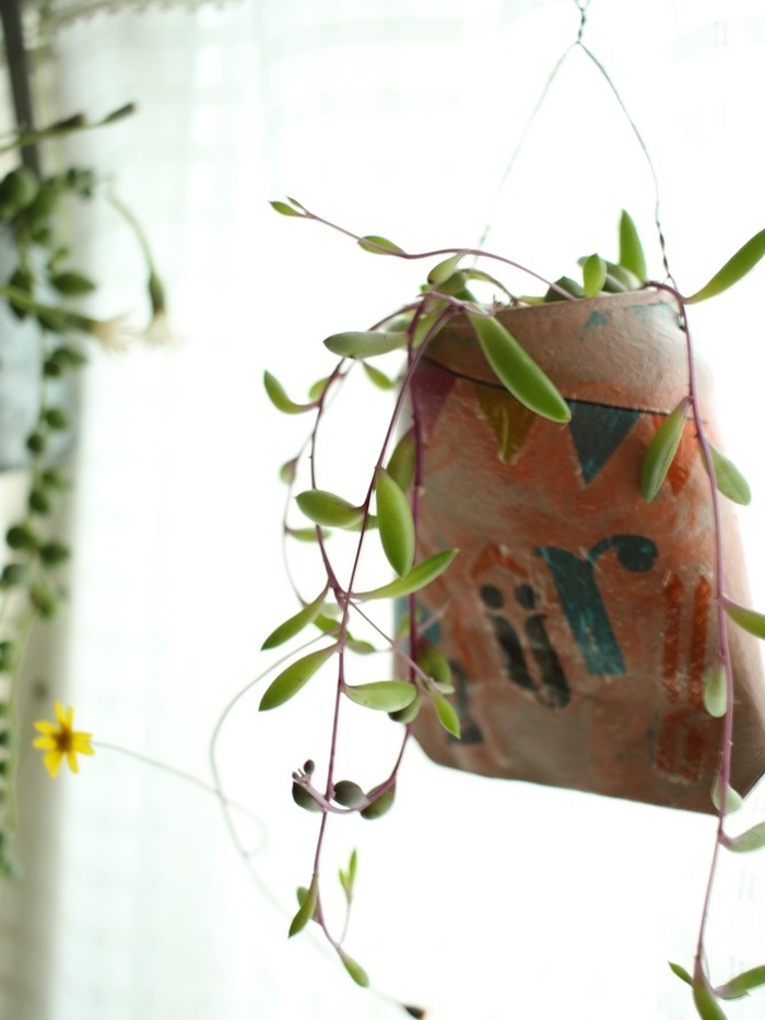 ハンギング植物で楽しい