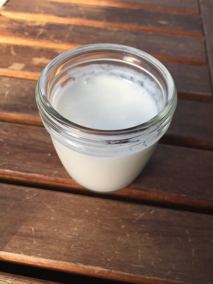 自家製ヨーグルト