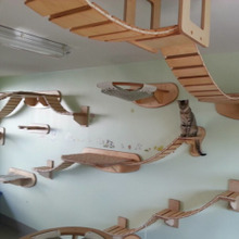 猫が喜ぶ!キャットウォークのある家~猫のためのリノベーション~