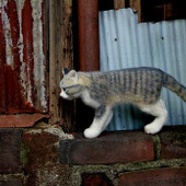 ネコ人形がリアル過ぎて凄い!ネコ科のあるアート学園の作品たち♪