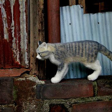 ネコ人形がリアル過ぎて凄い!ネコ科のあるアート学園の作品たち♪