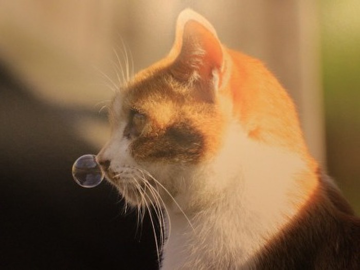 1:まるでシャボン玉。“正しい鼻ちょうちんの出し方