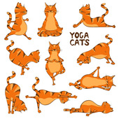 心身ともにリラックス!愛猫との「猫ヨガ」のススメ