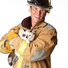 防災の専門家に猫のもしもの時の対策をお聞きしました。