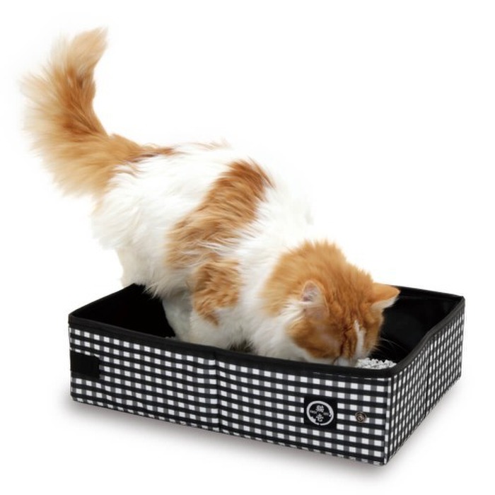 災害時に猫のために出来ること