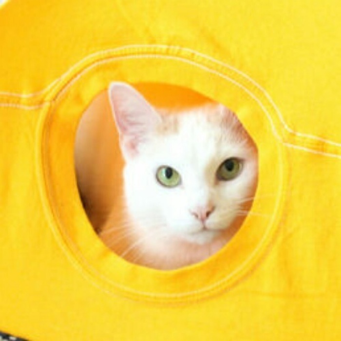 超簡単!手作りで楽しい猫グッズ♪