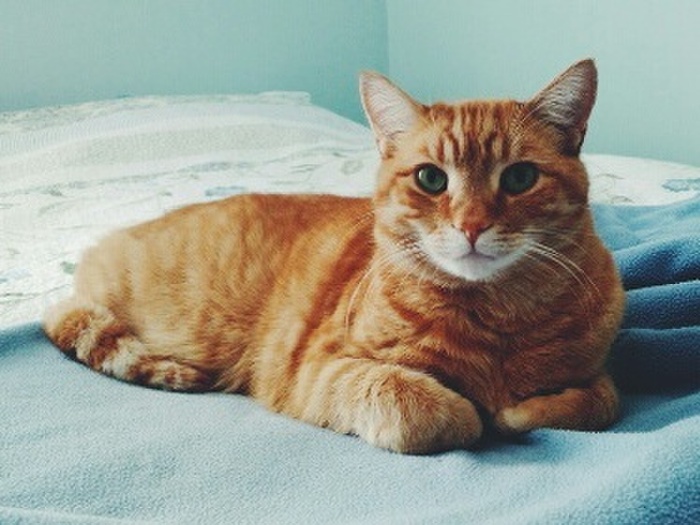 ★標準体型を維持する