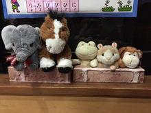 簡単☆オシャレに☆小さいぬいぐるみの収納