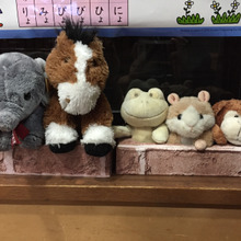 簡単☆オシャレに☆小さいぬいぐるみの収納