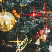 もうすぐクリスマス!簡単!パーティー料理「パンシチュー」の作り方