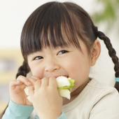 「キラキラ弁当」があっという間に作れるお助けグッズ