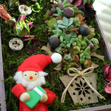 固まる土(ネルソル)で多肉植物が壁掛け雑貨に!