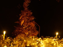 100均ライトとペットボトル!超プチプラでイルミネーションを楽しもう