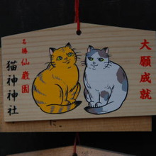 【猫神神社】旅行は鹿児島に決まり☆日本で唯一の猫神様に会いに行こう!