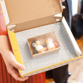 可愛くて便利なパッケージ「ヤマト運輸」×「minne」新たな梱包資材を開発~作家の想いを届ける~