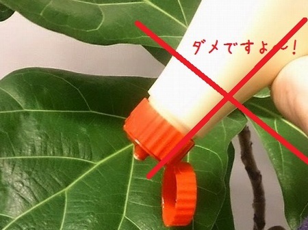 もちろん葉っぱに直塗りもNGです!
