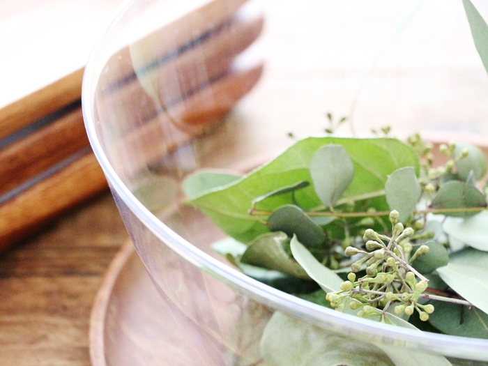 ダイソーサラダボウル