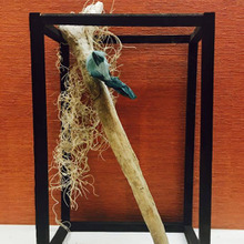 立体の額で流木をアートに