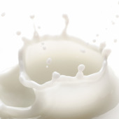 美肌効果やダイエット効果も!?「きな粉牛乳」の嬉しい効果