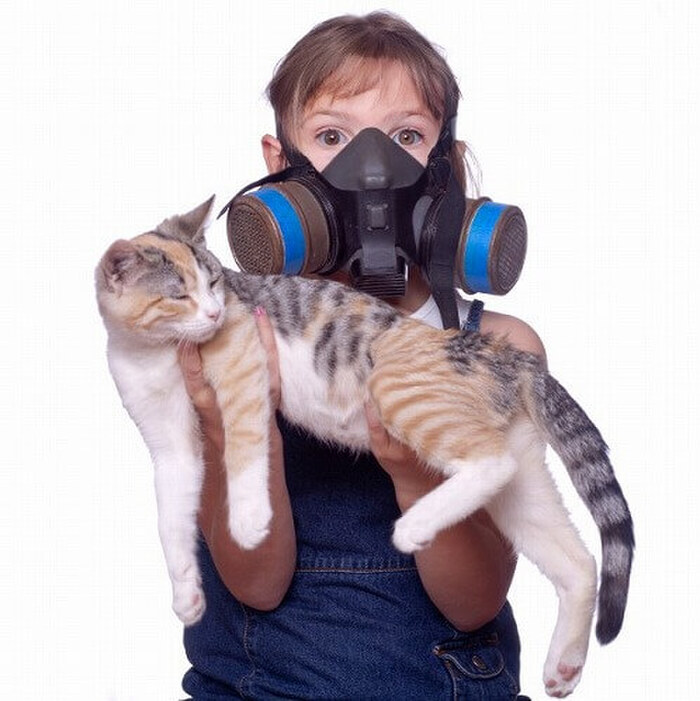 猫と暮らし始めたのにアレルギーに!原因と2つの克服方法