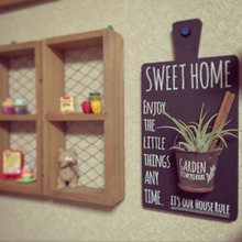 100均のもので男前なエアープランツホルダー