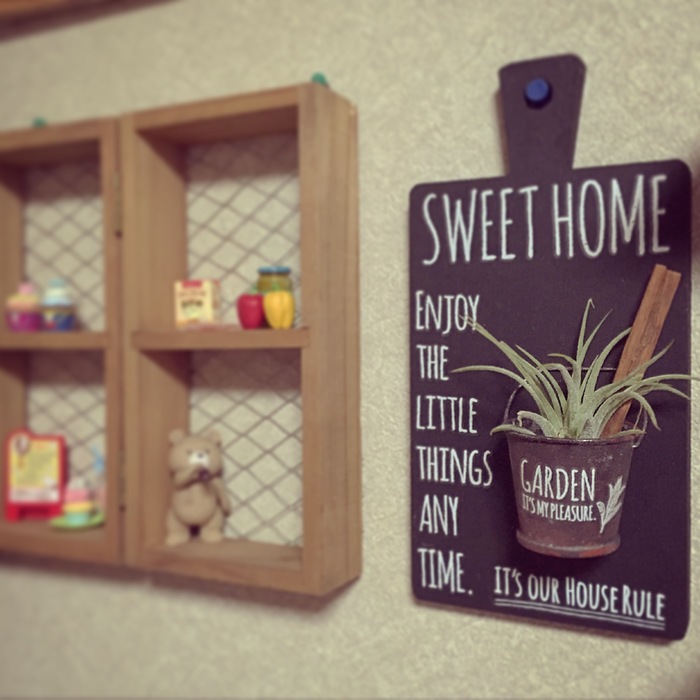 100均のもので男前なエアープランツホルダー