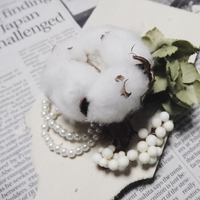 大きいドライを中央に。