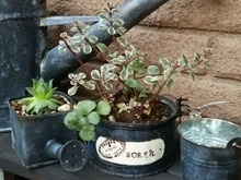 ペイントとワイヤーで!簡単男前リメ缶☆