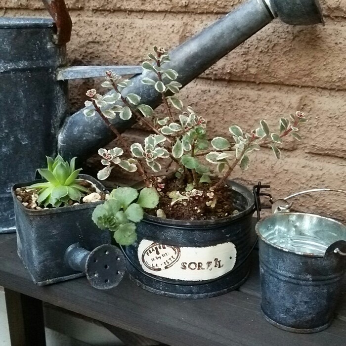 ペイントとワイヤーで!簡単男前リメ缶☆