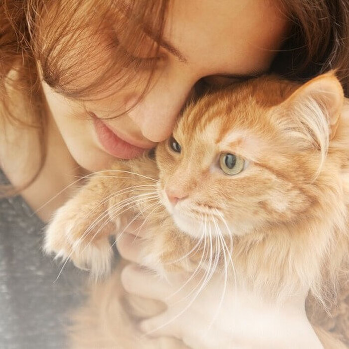 甘噛みでも痛い!猫が噛む理由と効果のあるしつけ方法