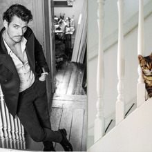 美魔女には猫系男子がよく似合う?フランスマダムに学ぶ恋愛の極意とは