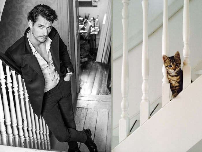 美魔女には猫系男子がよく似合う?フランスマダムに学ぶ恋愛の極意とは