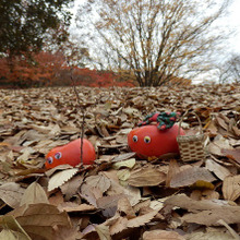 【育児】しーーーんとした親子時間