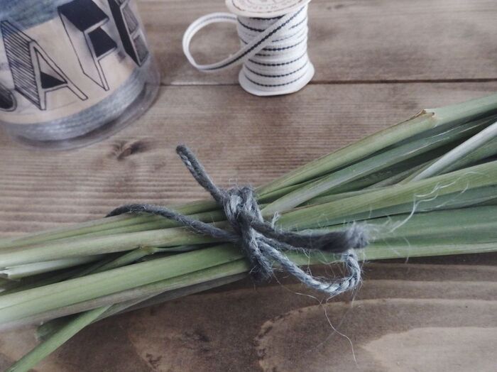 根元をしばる。