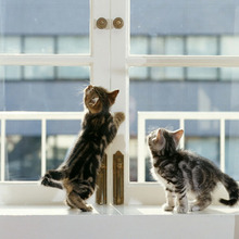 年末大掃除のポイント、窓掃除のアイデア紹介します