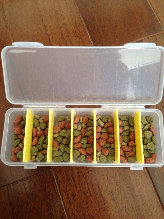 ハムスターの餌