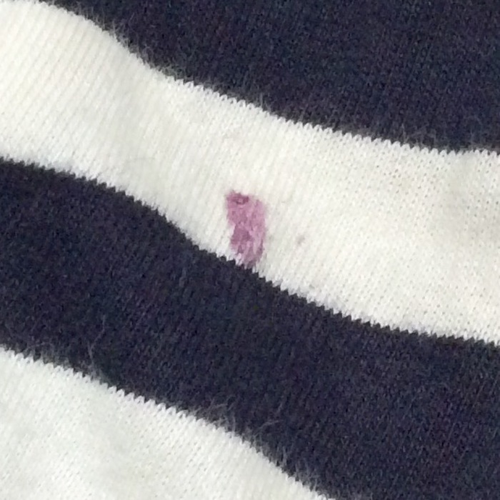 洋服についたブドウ(果物)系のシミ。これでほぼ取れるんです。