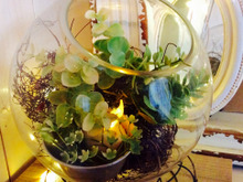 100均・300均商品でテラリウム風インテリアライト