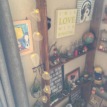 セリアさんのLEDライトと鬼灯を使用したインテリアライト