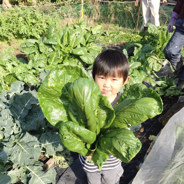 食材調達へ