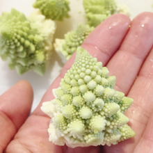 ツリーみたい!びっくり食材のオススメな食べ方